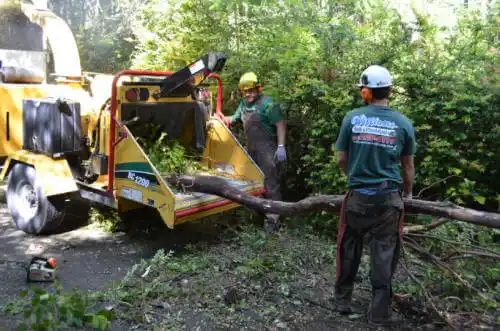 tree services Urbandale